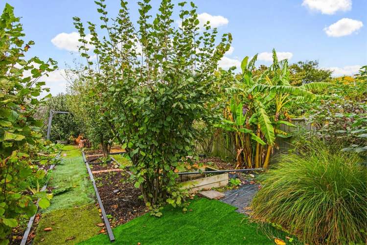 63 Waipunahau Road Waikanae_29