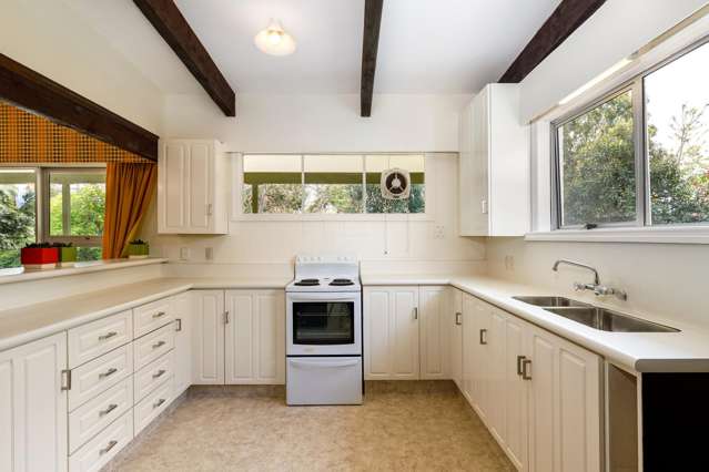 25 Brydon Street Renwick_4