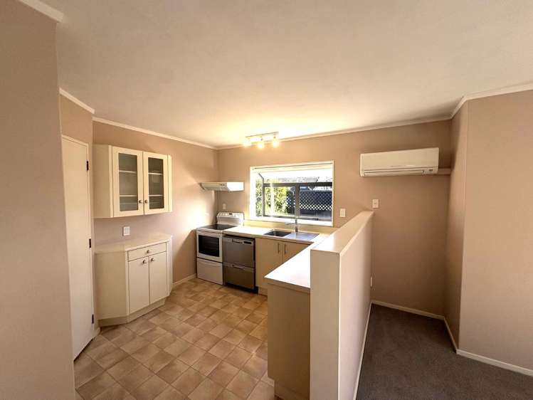 111a Avondale Road Greenmeadows_1
