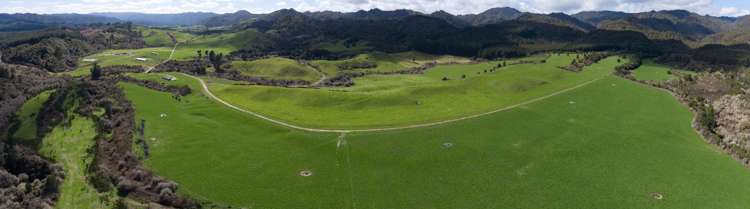 283 Minginui Road Galatea_43