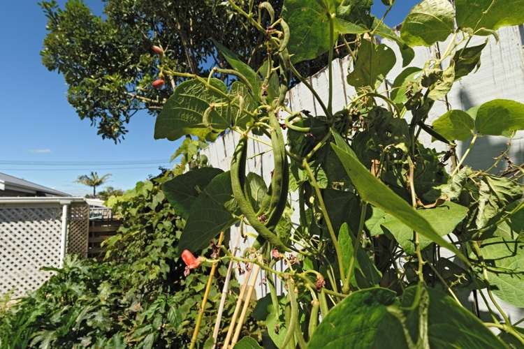 96d Twelfth Avenue Tauranga South_18