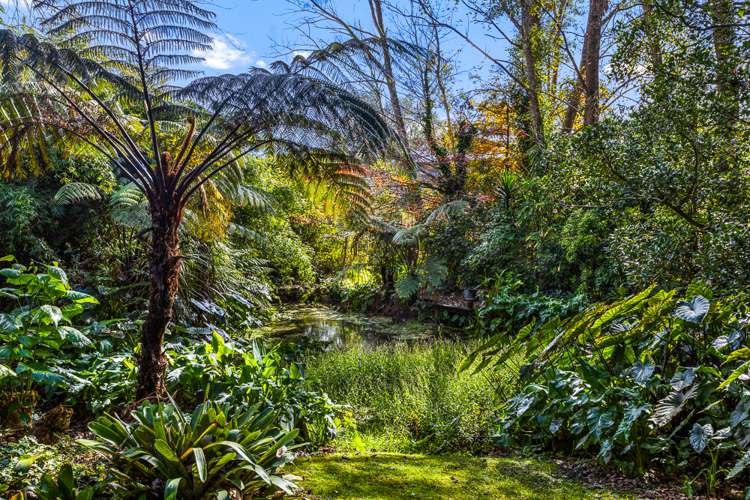 76 Falls Road Warkworth_19