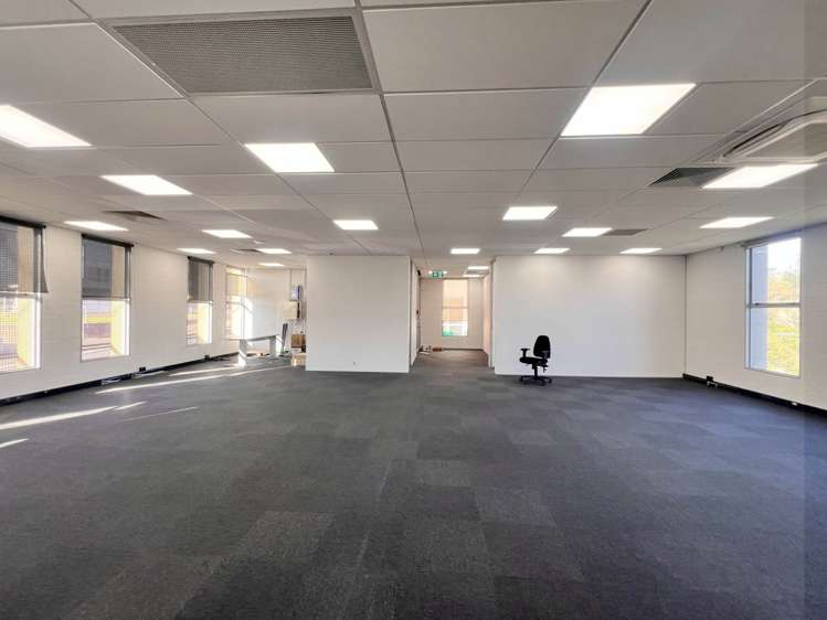 28 Heather Street Parnell_10