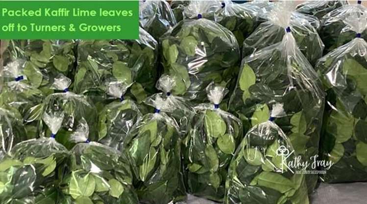 70 Rototuna Rd Pouto_43