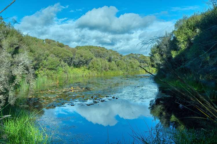 192 Keogans Road Hokitika_50