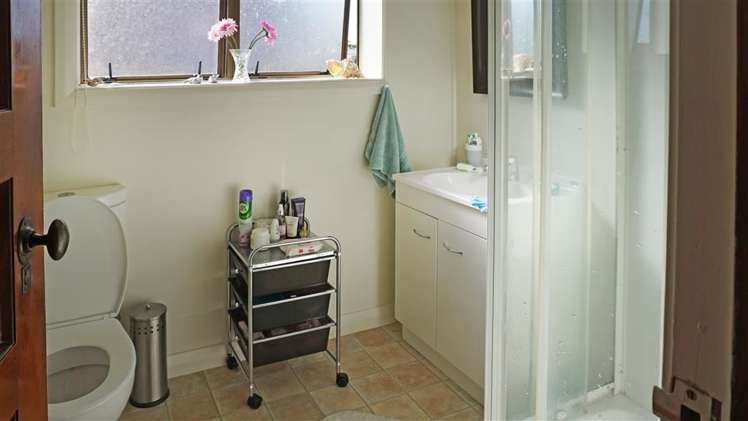 462 Tweed Street Georgetown_7