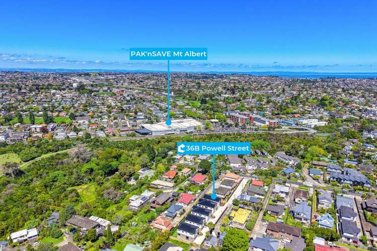 36B Powell Street Avondale_26