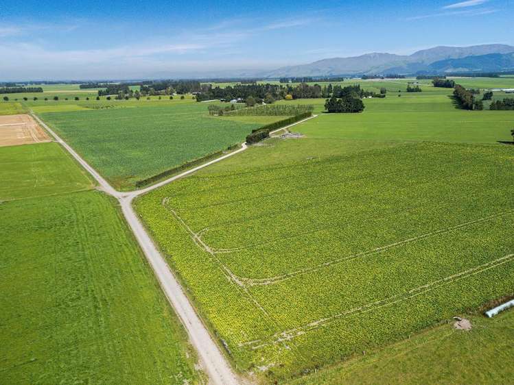 1710 Ealing Montalto Road Ashburton_13