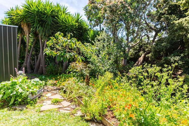 21 Ngatoto Road Tinopai_36