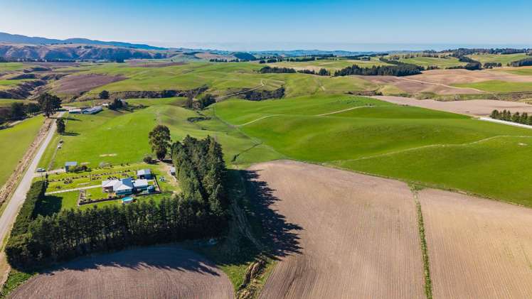 467 Waihaorunga Back Road Waimate_13