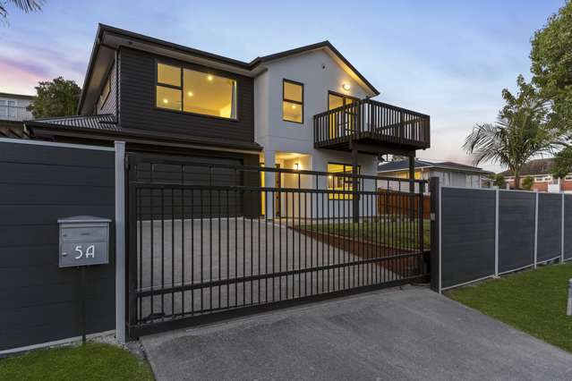 5a Drew Street Mount Roskill_1