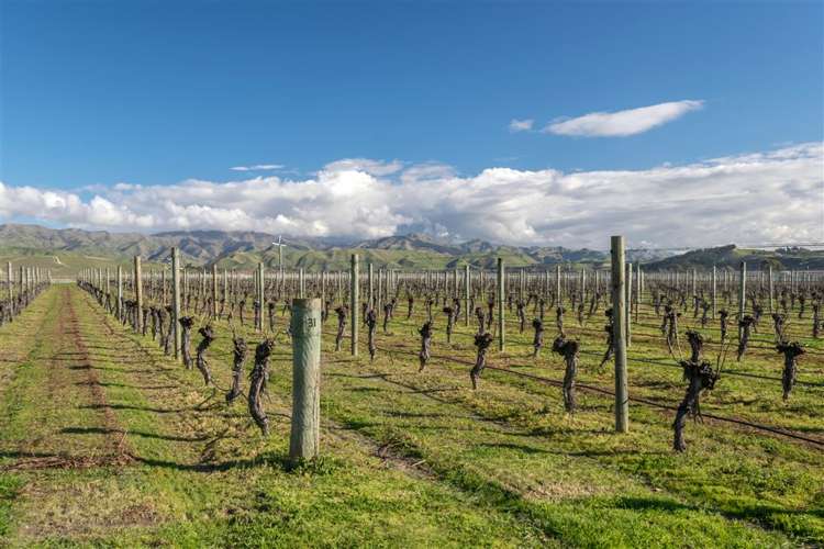 671 New Renwick Road Fairhall_22