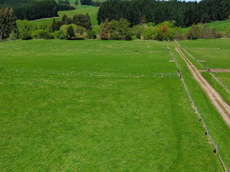 571 Three Mile Hill Road North Taieri_29