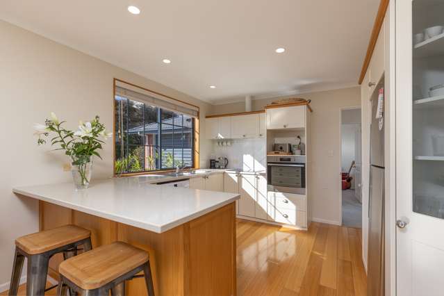 16 Ledbury Road Atawhai_2