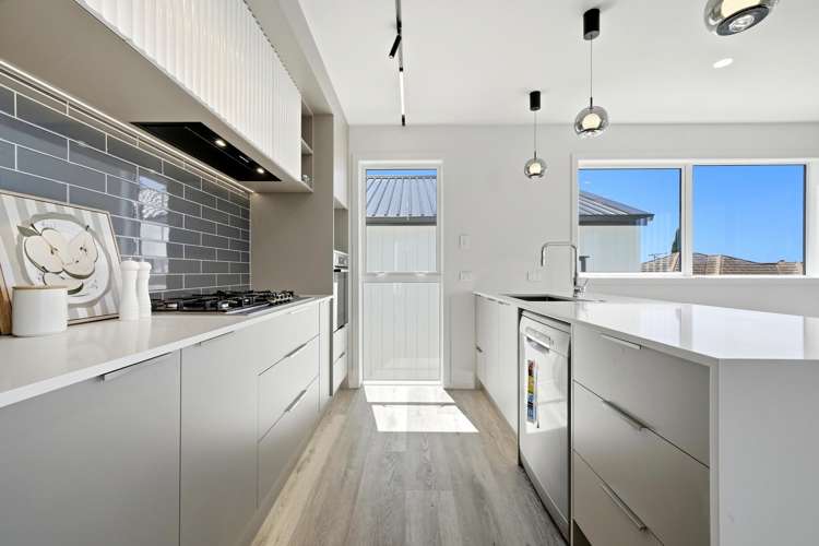 36D Powell Street Avondale_10