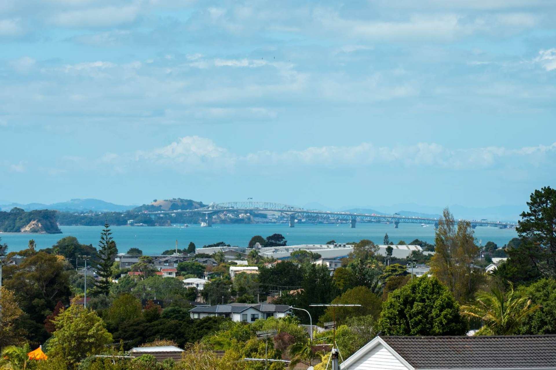 19 White Heron Drive Massey_0