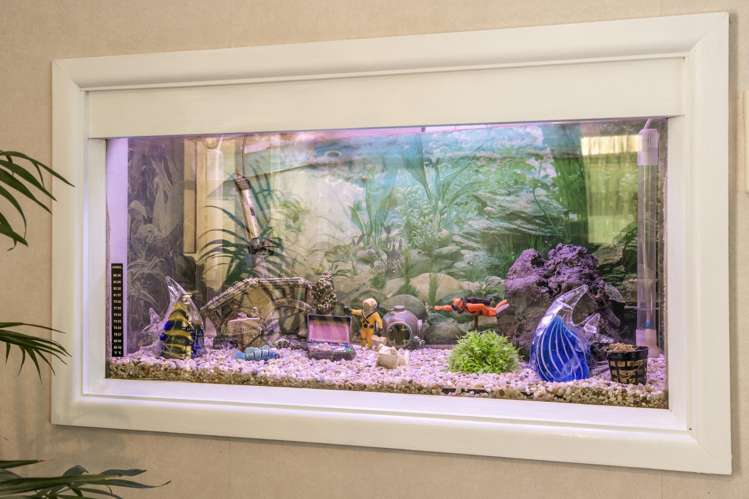 85 Bayly Road Blagdon_16