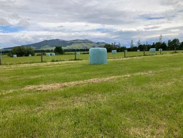 451 and 453 Whiterig Road Knapdale_3