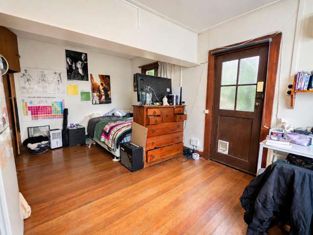 46 Park Street North Dunedin_2