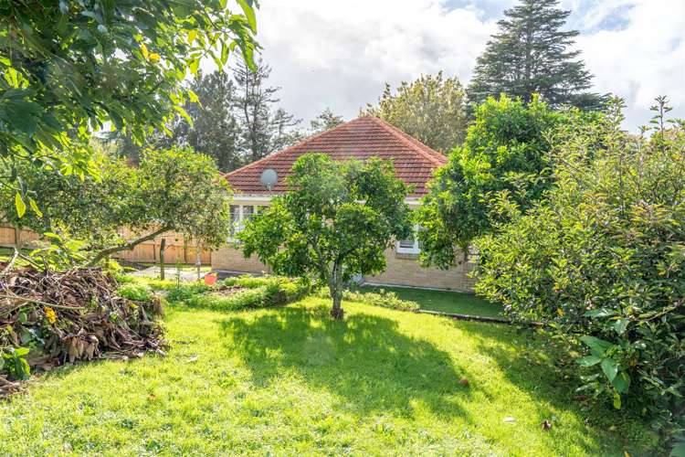 12 Tisdall Street Hamilton Central_4