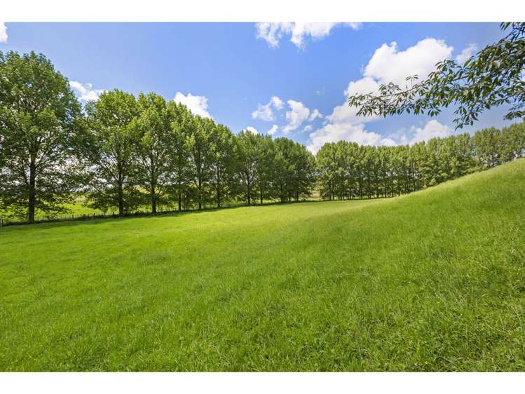 80 State Highway 3 Piopio_24