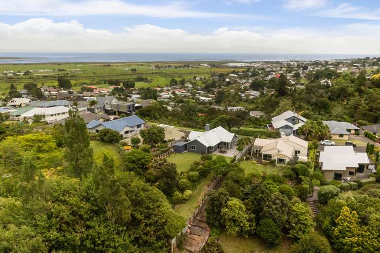 232 The Booms Avenue Thames_18