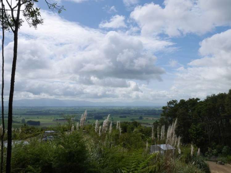 321a Quine Road Tahuna_14