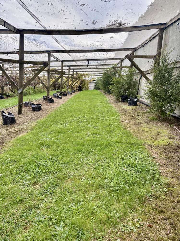 1/69 Vineyard Lane Mangawhai_15