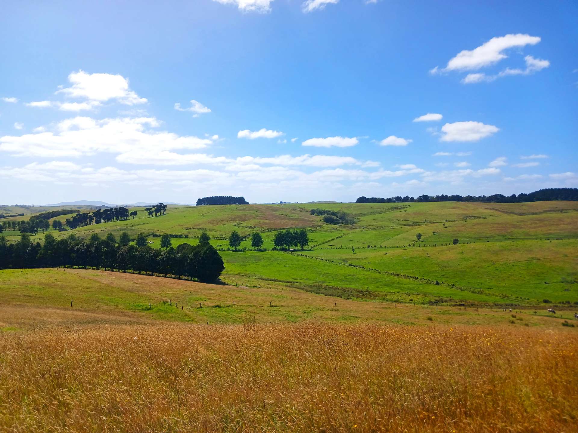 State Highway 10 Kaingaroa_0