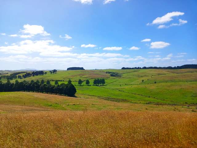 State Highway 10 Kaingaroa_2