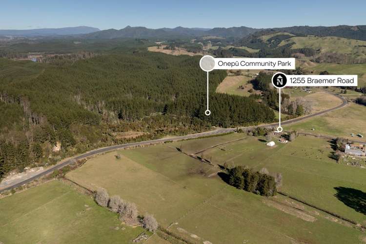 1255 Braemar Road Rotoma_31