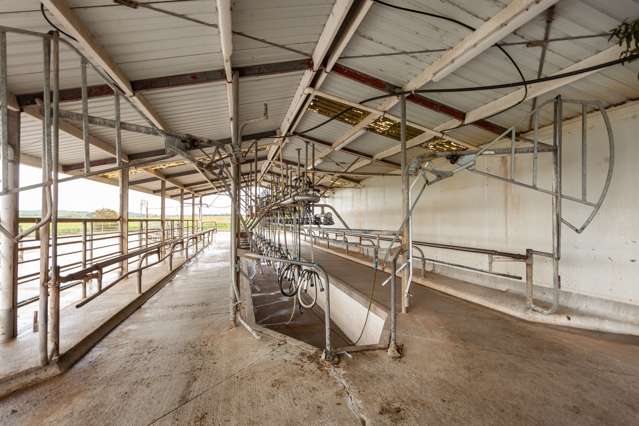 220 Valintine Road Gordonton_3