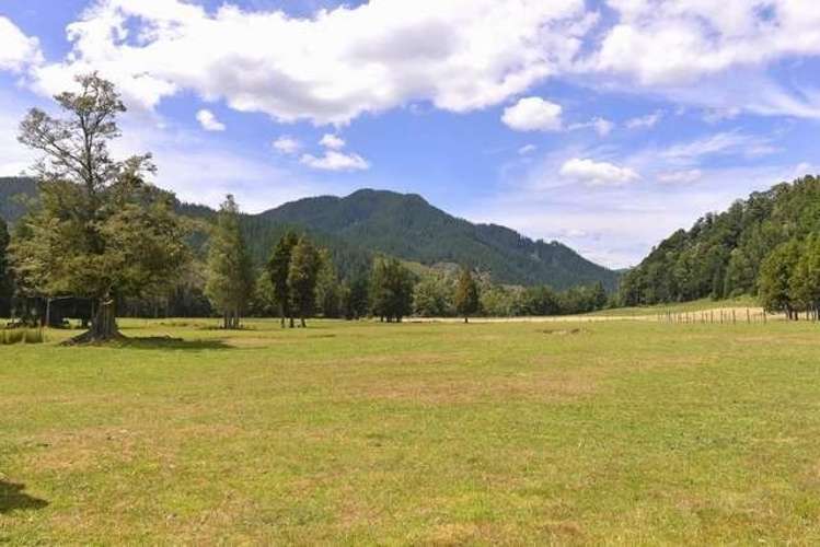 560 Shenandoah Highway Murchison_6