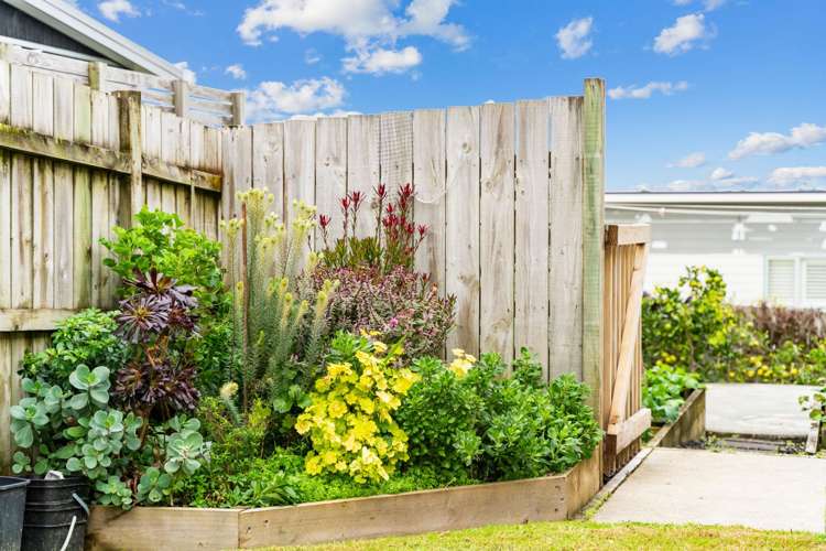 12 Weka Street Mangawhai_17