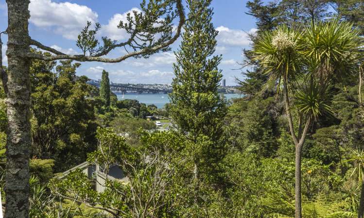 19 Wilding Avenue Northcote Point_5