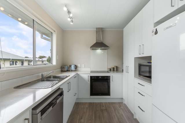 9 Volante Avenue Wattle Downs_2