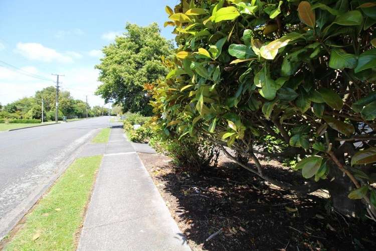 15 Wilson Street Bulls_52