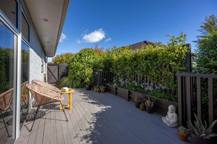53 Mount Street Nelson South_6