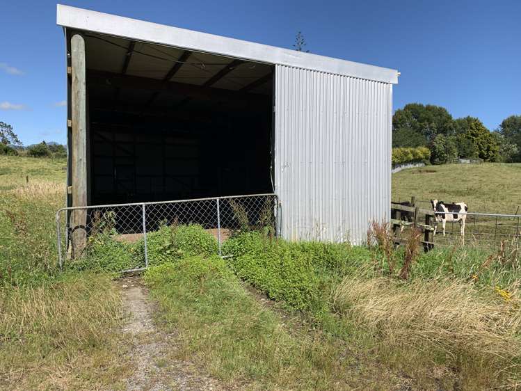 2121 Mountain Road Tariki_7