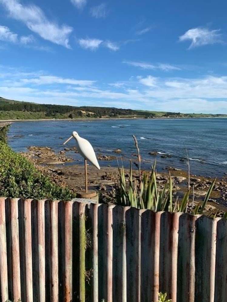 67 Shag Point Road Palmerston_34