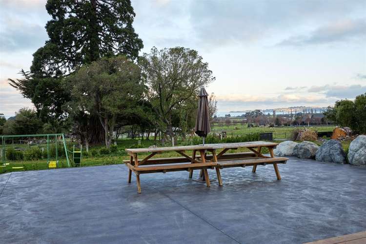 290 State Highway 1 Kaikoura_7