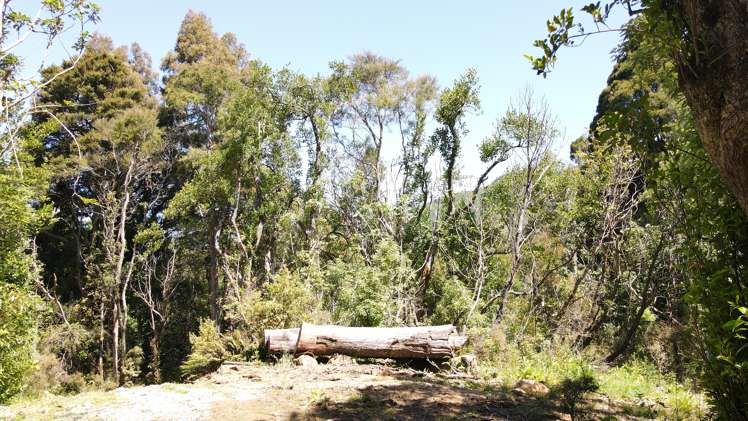 Lot 1 Lookout Road Peel Forest_8