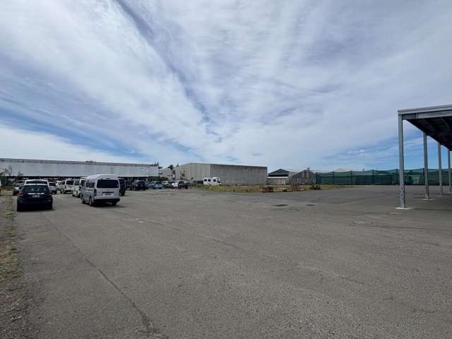 805 Orchard Road &ndash; Rear Yard