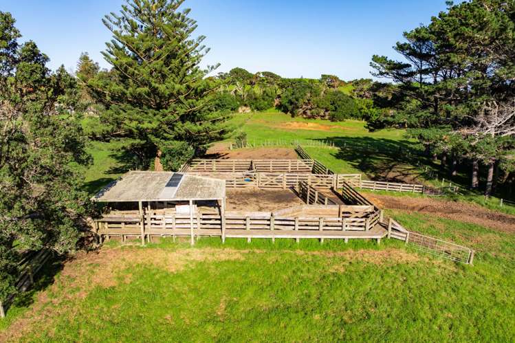 792 Omamari Road Dargaville Surrounds_15