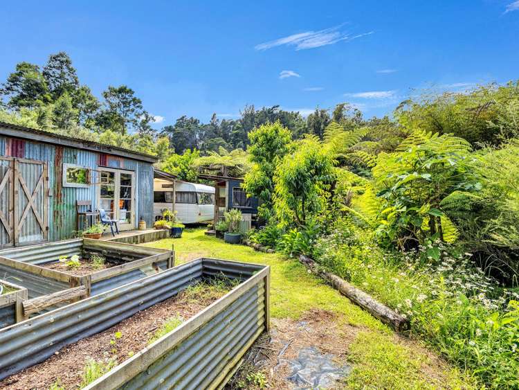 Ohiwa Loop Road Waiotahi_7