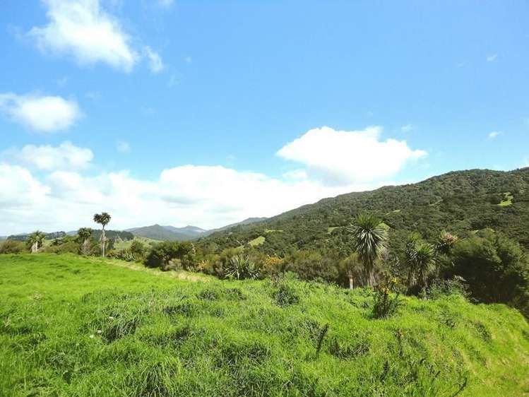 125 Robert Hastie Drive Mangawhai_5