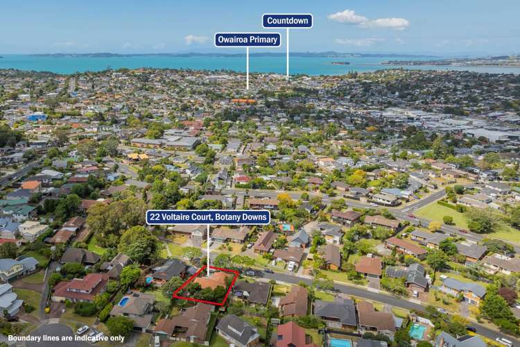 22 Voltaire Court Botany Downs_20