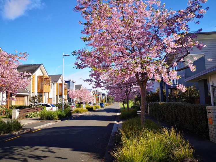 58 Station Street Hobsonville_18