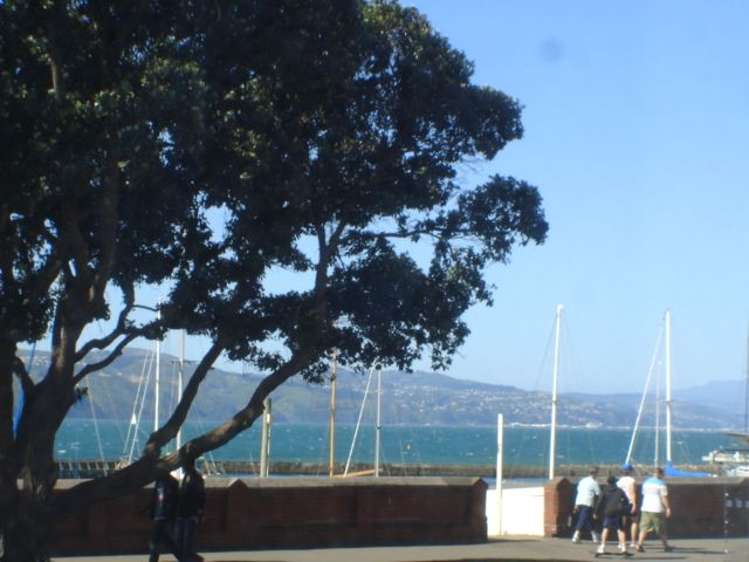 2/82 Oriental Parade Oriental Bay_12