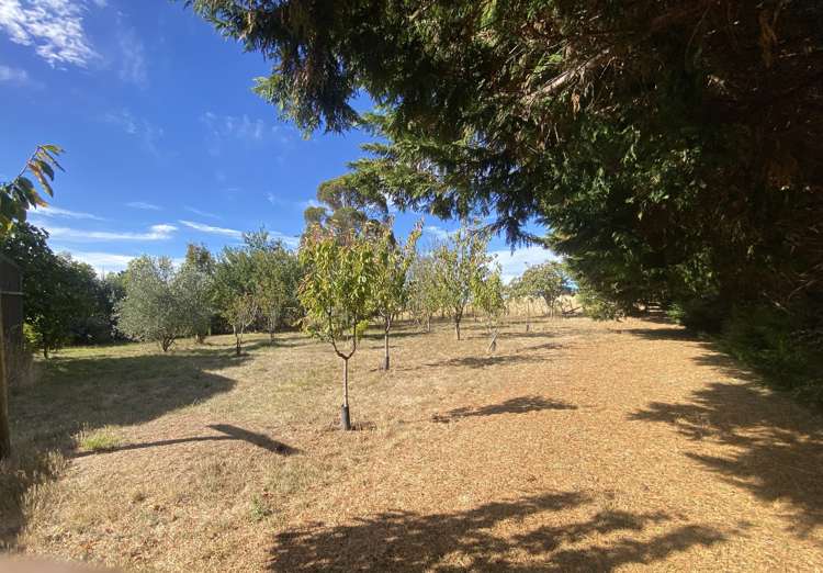 417 Ngaumu Road Wainuioru_22